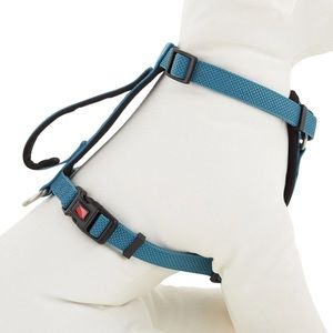 Kong Comfort padded dog harness